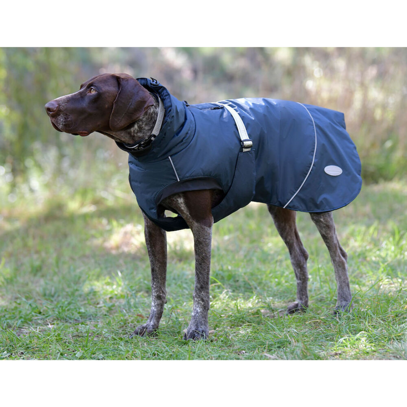 Explorer Medium Dog Coat