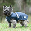Explorer Medium Dog Coat