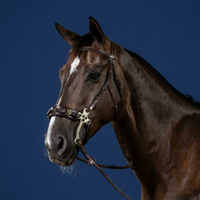 US Jumping Hackamore Bridle - Brown