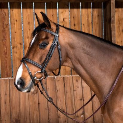 Working Flash Noseband Bridle - Brown