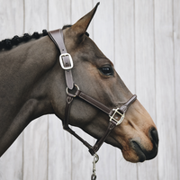 Kentucky Anatomic Leather Halter - Brown