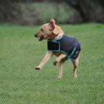 Weatherbeeta Green-Tec 900D Dog Coat Medium