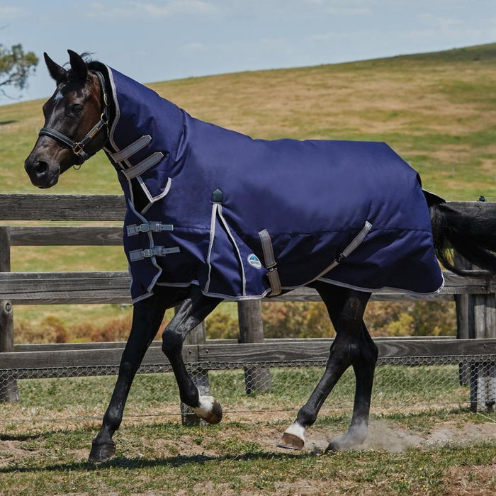 Weatherbeeta Rugs – Rangiora Equestrian Supplies