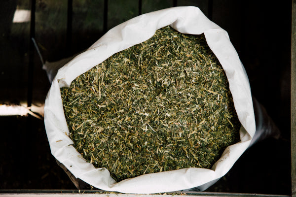 Future Feeds - Lucerne Hay Chaff - 25Kg
