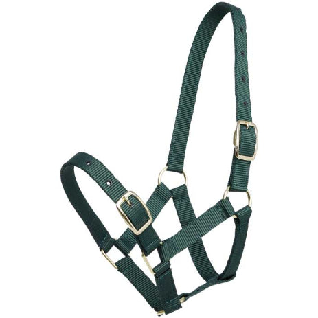 Zilco - Gymkhana Foal Halter