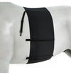 Elastic Belly Guard