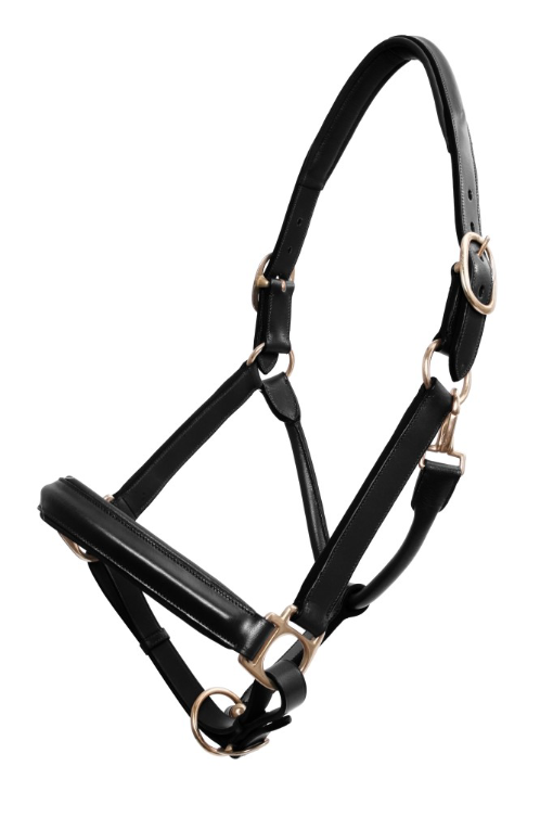 Platinum - Leather Halter