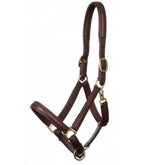 Platinum - Leather Halter