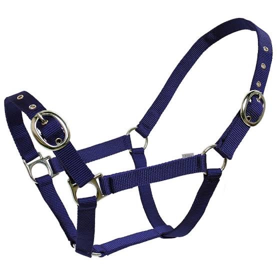 Blue Tag - Nylon Halter