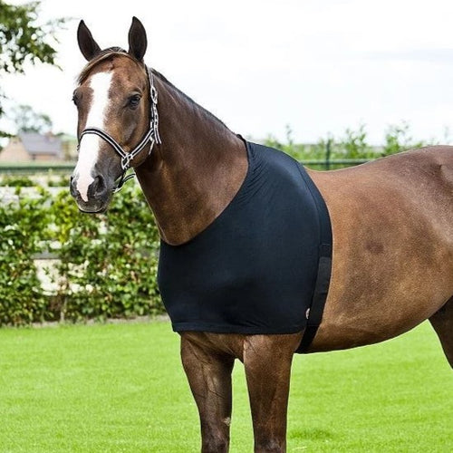 Rug Accessories – Rangiora Equestrian Supplies