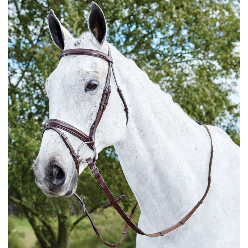 Kincade - Hanoverian Bridle