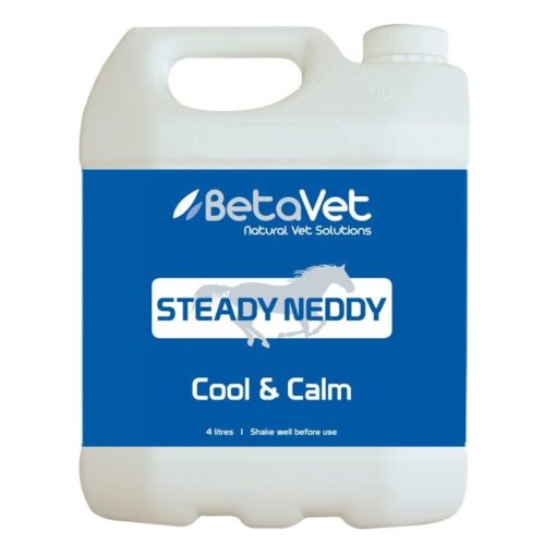 BetaVet Steady Neddy